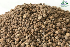 Map-Mineralizado-1.2