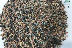 Mezcla-Aguacatera-1.2